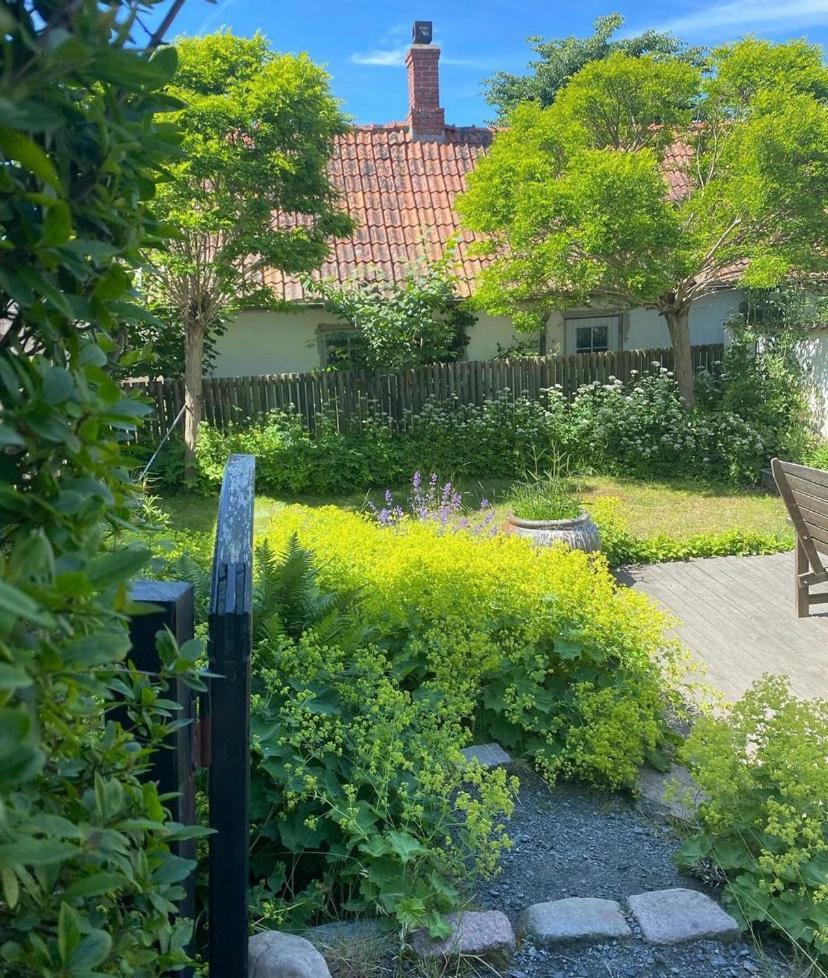 Villa Botanikerns Hus à Löderup Extérieur photo